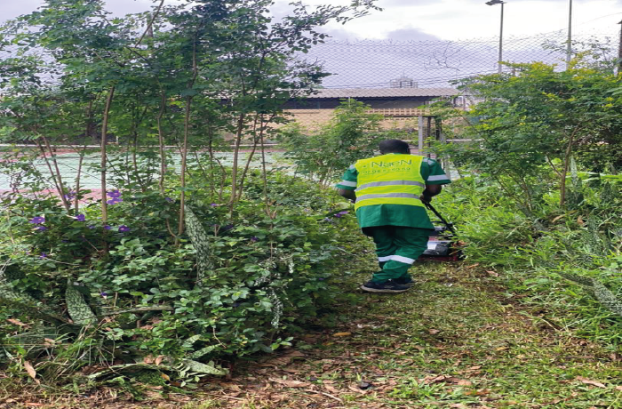 Entretient d'espace vert